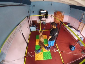 IMG 8431  